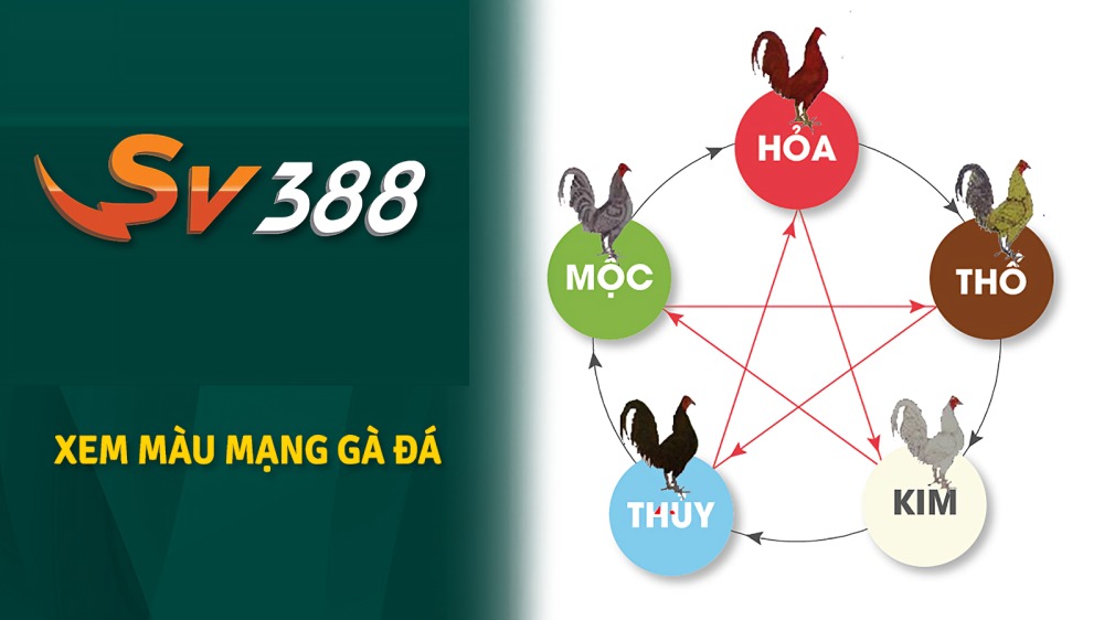 Bảng Màu Mạng Gà Đá
