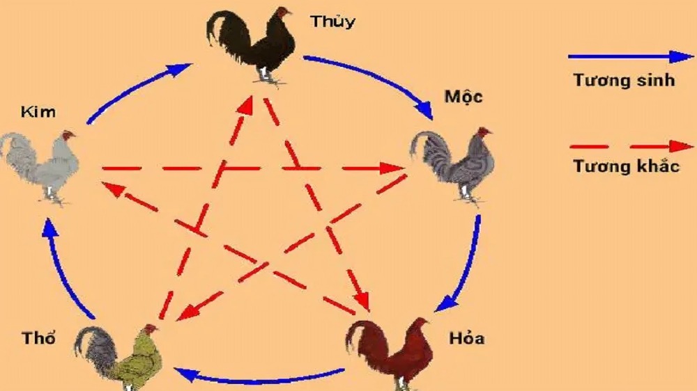 Bảng Màu Mạng Gà Đá