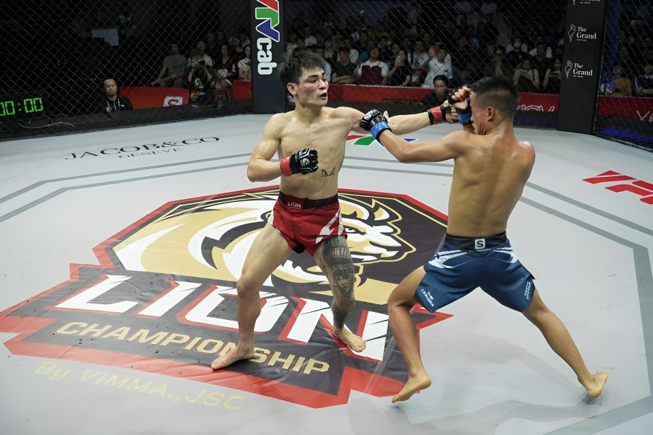 Võ sĩ MMA Việt Nam