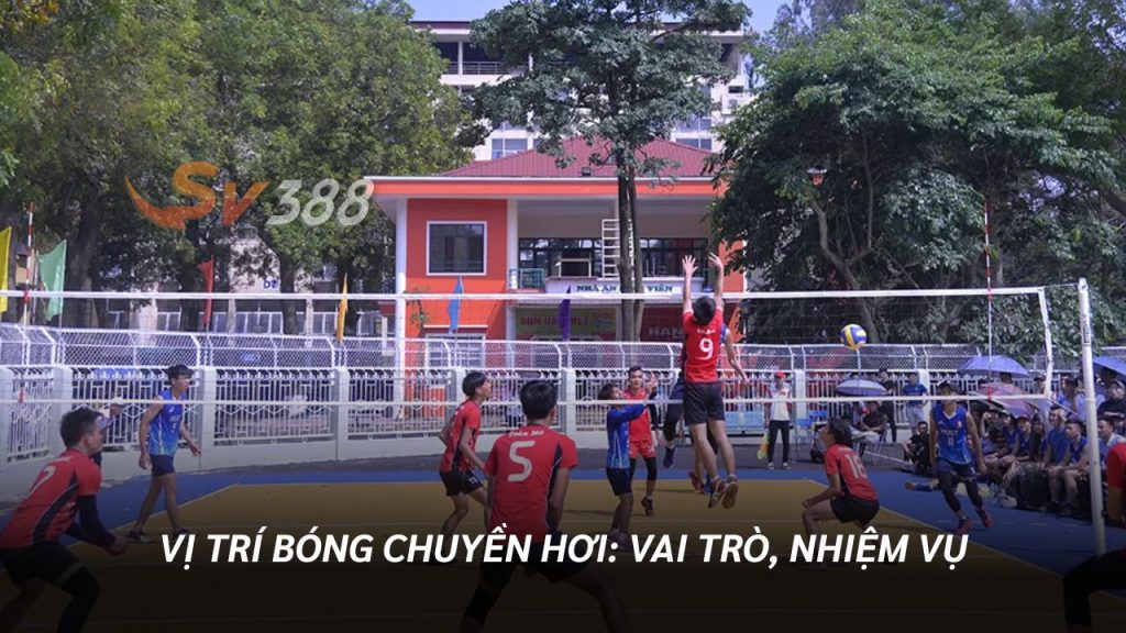 Vị Trí Bóng Chuyền Hơi
