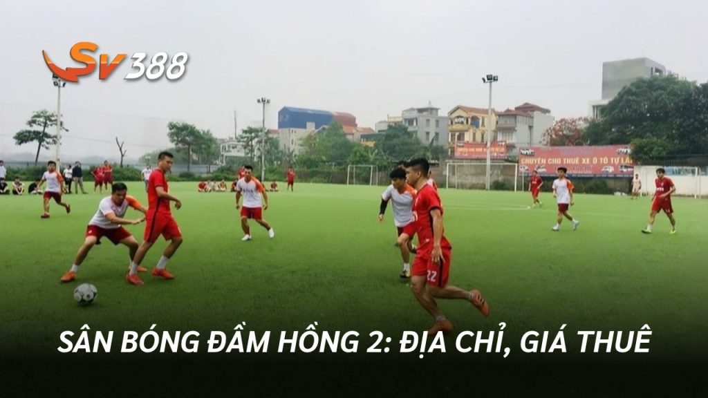 Sân Bóng Đầm Hồng 2